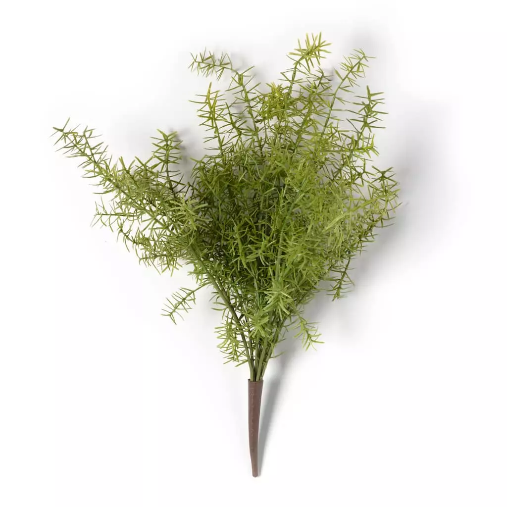 Buy 👍 Springeri Bush by Ashland® 🥰 7 Buy 👍 Springeri Bush by Ashland® 🥰 - Image 5
