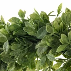 Top 10 ❤️ 20" Plastic Foliage Wreath by Ashland® ✔️ -Michaels Store 10547486 20