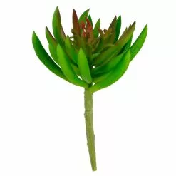 Promo 🧨 Assorted Succulent Pick By Ashland® ⌛ -Michaels Store 10547488 3