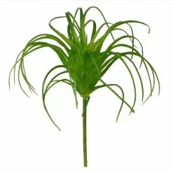 Outlet 🌟 24 Pack: Assorted Tillandsia Pick by Ashland® 👏 -Michaels Store 10547489 2 1