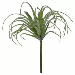 Outlet 🌟 24 Pack: Assorted Tillandsia Pick by Ashland® 👏 -Michaels Store 10547489 4 1