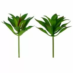 Deals 🔥 12 Pack: Assorted Agave Pick by Ashland® 🌟