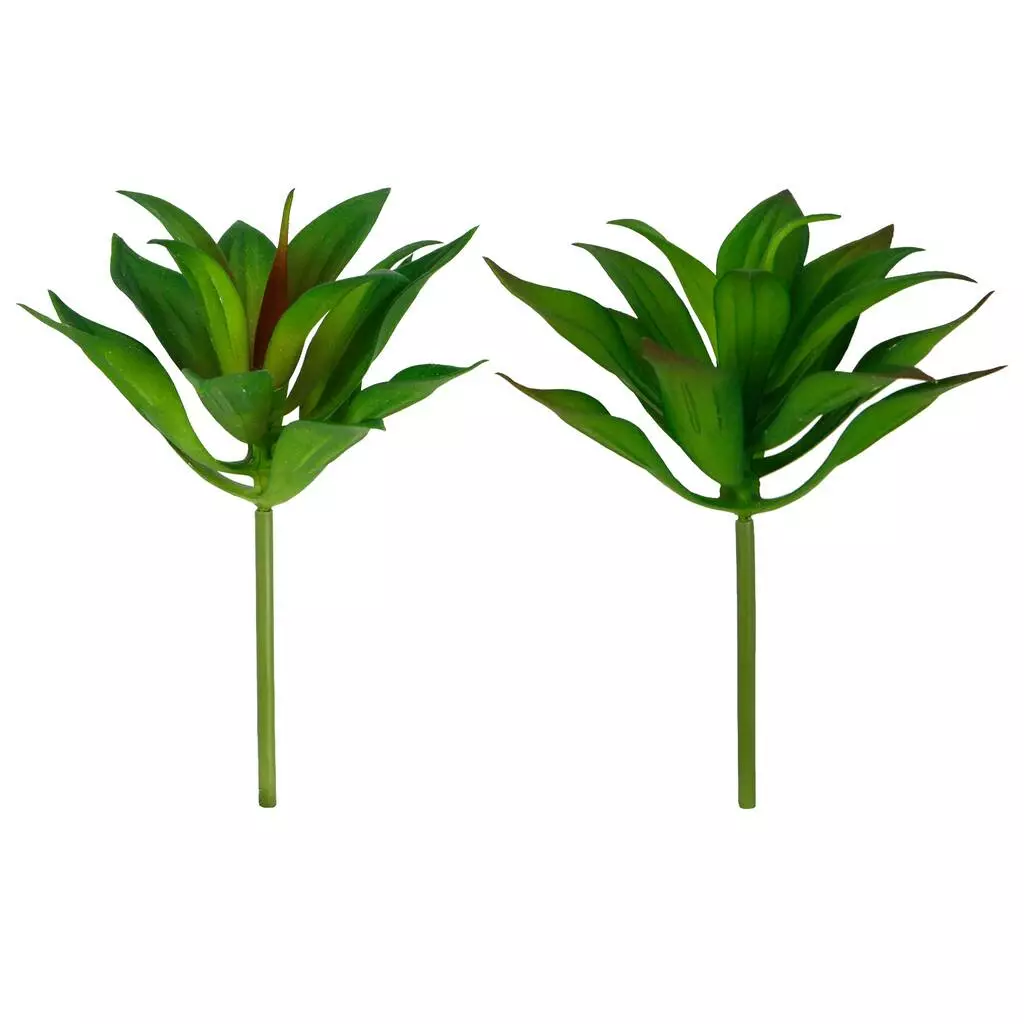 Deals π₯ 12 Pack: Assorted Agave Pick by Ashland® π 3 Deals π₯ 12 Pack: Assorted Agave Pick by Ashland® π