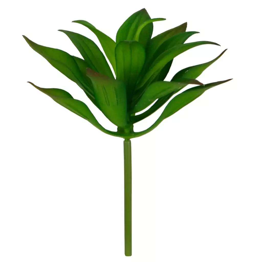 Deals π₯ 12 Pack: Assorted Agave Pick by Ashland® π 4 Deals π₯ 12 Pack: Assorted Agave Pick by Ashland® π - Image 2