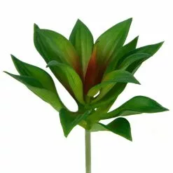 Deals π₯ 12 Pack: Assorted Agave Pick by Ashland® π 13 Deals π₯ 12 Pack: Assorted Agave Pick by Ashland® π -Michaels Store 10547490 4