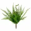 Cheapest 🎁 8 Pack: Green Boston Fern Bush by Ashland® ✨ -Michaels Store 10547493