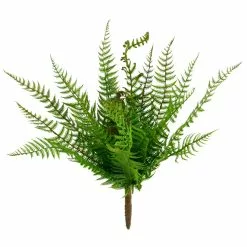 Cheapest 🎁 8 Pack: Green Boston Fern Bush by Ashland® ✨