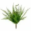 Budget 😍 Boston Fern Bush by Ashland® ⭐ -Michaels Store 10547493 1
