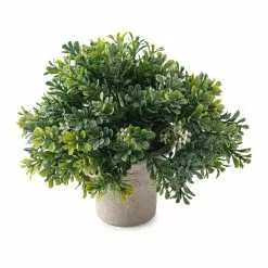 Cheapest 😀 Premade Boxwood Bush by Ashland® 🔥