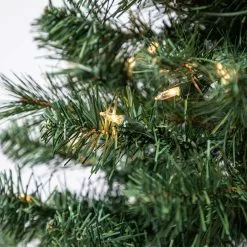 Best Pirce 🎁 4ft. Pre-Lit Riverside Pine Artificial Christmas Tree, Clear Lights by Ashland® 😉 -Michaels Store 10555064 12