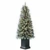 Buy ✨ 4.5ft. Pre-Lit Baywood Artificial Christmas Tree, Clear Lights by Ashland® ✨