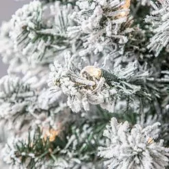 Best reviews of ✔️ 4ft. Pre-Lit Cypress Artificial 🎉 Christmas Tree, Clear Lights by Ashland® 🎉 -Michaels Store 10599014 11