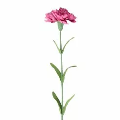 Best Sale 🌟 24 Pack: Hot Pink Carnation Stem by Ashland® ❤️