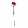 Best reviews of 🔥 Hot Pink Carnation Stem by Ashland® 🔥