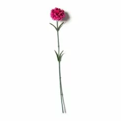 Best reviews of 🔥 Hot Pink Carnation Stem by Ashland® 🔥
