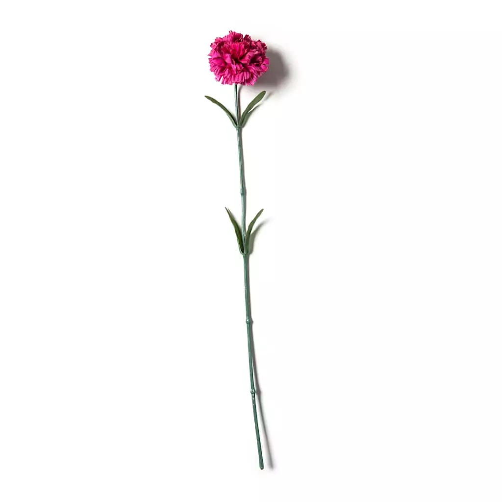 Best reviews of 🔥 Hot Pink Carnation Stem by Ashland® 🔥 3 Best reviews of 🔥 Hot Pink Carnation Stem by Ashland® 🔥