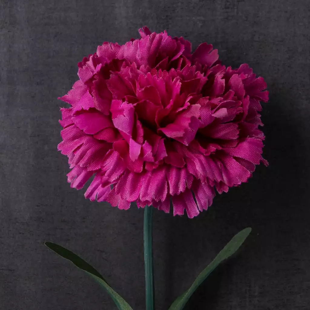 Best reviews of 🔥 Hot Pink Carnation Stem by Ashland® 🔥 4 Best reviews of 🔥 Hot Pink Carnation Stem by Ashland® 🔥 - Image 2