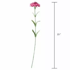Best reviews of 🔥 Hot Pink Carnation Stem by Ashland® 🔥 9 Best reviews of 🔥 Hot Pink Carnation Stem by Ashland® 🔥 -Michaels Store 10626417 3