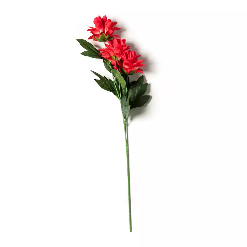 Best reviews of ❤️ Red Hops Stem by Ashland® ✔️ 3 Best reviews of ❤️ Red Hops Stem by Ashland® ✔️