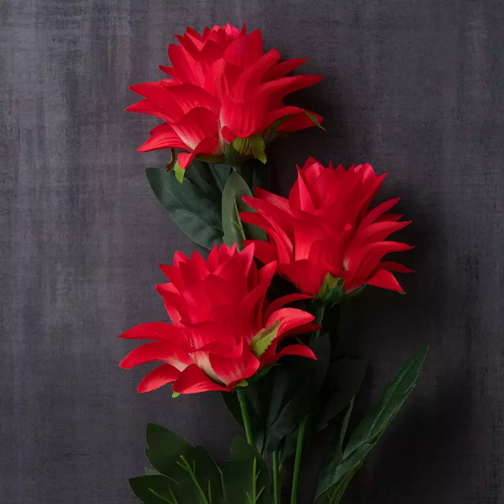 Best reviews of ❤️ Red Hops Stem by Ashland® ✔️ 4 Best reviews of ❤️ Red Hops Stem by Ashland® ✔️ - Image 2