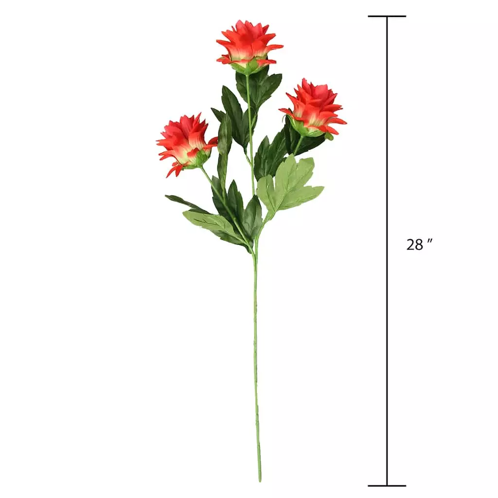 Best reviews of ❤️ Red Hops Stem by Ashland® ✔️ 6 Best reviews of ❤️ Red Hops Stem by Ashland® ✔️ - Image 4