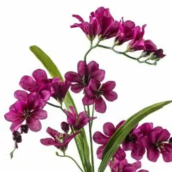 Best reviews of 😉 Hot Purple Freesia Stem by Ashland® ❤️ -Michaels Store 10626423 20