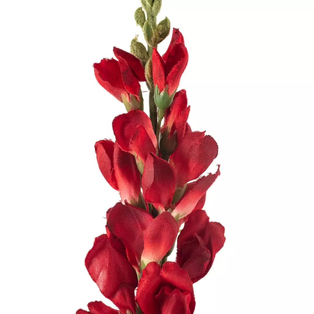 Best deal β Red Snapdragon Stem by Ashland® π 5 Best deal β Red Snapdragon Stem by Ashland® π - Image 3