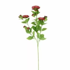 Promo ⌛ 12 Pack: Burgundy Ranunculus Spray by Ashland® ⭐