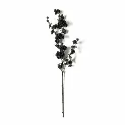 Brand new 👍 Black Blossom Spray by Ashland® 🛒