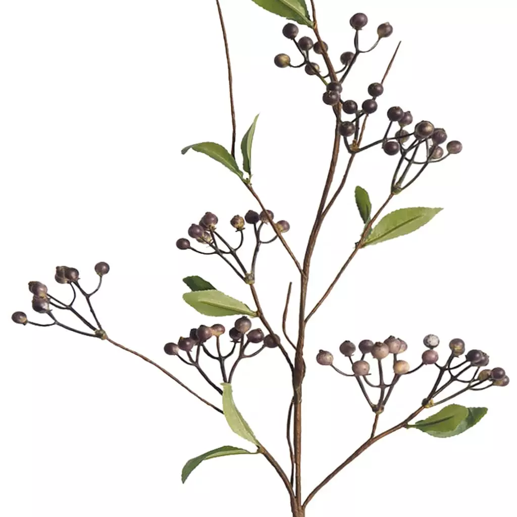 New 🤩 12 Pack: Purple Berry Spray by Ashland® 👏 4 New 🤩 12 Pack: Purple Berry Spray by Ashland® 👏 - Image 2