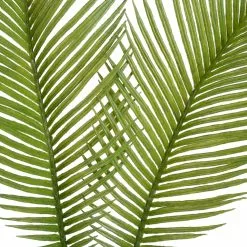 New 😀 Green Sago Palm Stem by Ashland® 👏 -Michaels Store 10626443 2