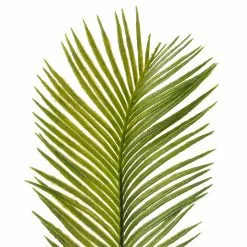 New 😀 Green Sago Palm Stem by Ashland® 👏 -Michaels Store 10626443 20