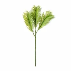 New 😀 Green Sago Palm Stem by Ashland® 👏