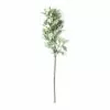 Best reviews of ⌛ Frosted Dusty Miller Spray Stem by Ashland® ⭐