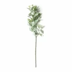 Best reviews of ⌛ Frosted Dusty Miller Spray Stem by Ashland® ⭐