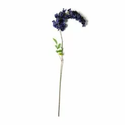 Top 10 🛒 Blue Wisteria Stem by Ashland® 🎁