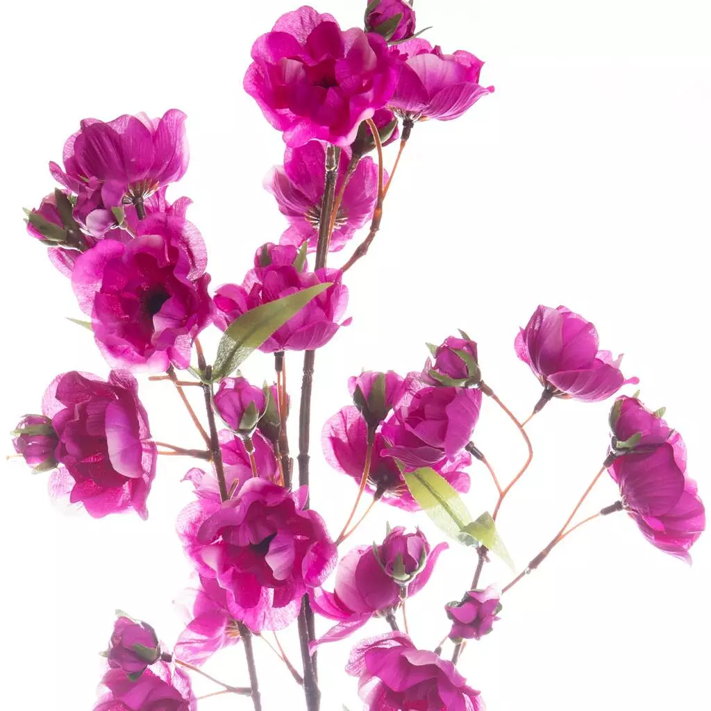 Promo 😉 6 Pack: Mauve Anemone Spray by Ashland® 🤩 4 Promo 😉 6 Pack: Mauve Anemone Spray by Ashland® 🤩 - Image 2