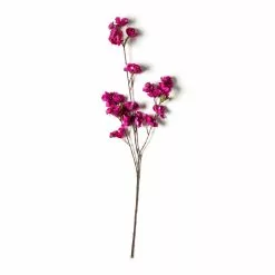 Outlet 🎁 Mauve Anemone Stem by Ashland® 🔥