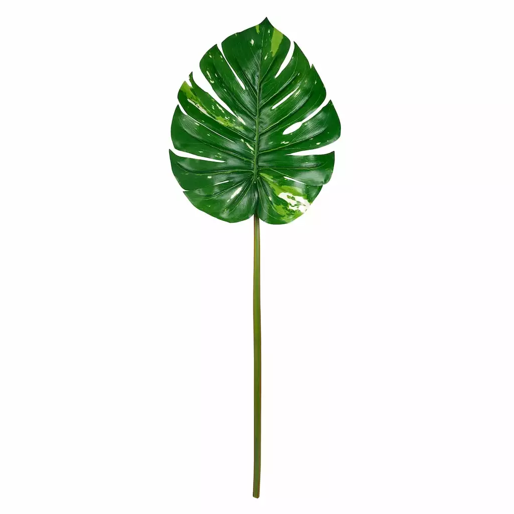 Best Pirce ✨ 12 Pack: Monstera Leaf Stem by Ashland® ❤️ 3 Best Pirce ✨ 12 Pack: Monstera Leaf Stem by Ashland® ❤️