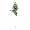 Wholesale ⌛ Rose Leaf Stem by Ashland® 🔔