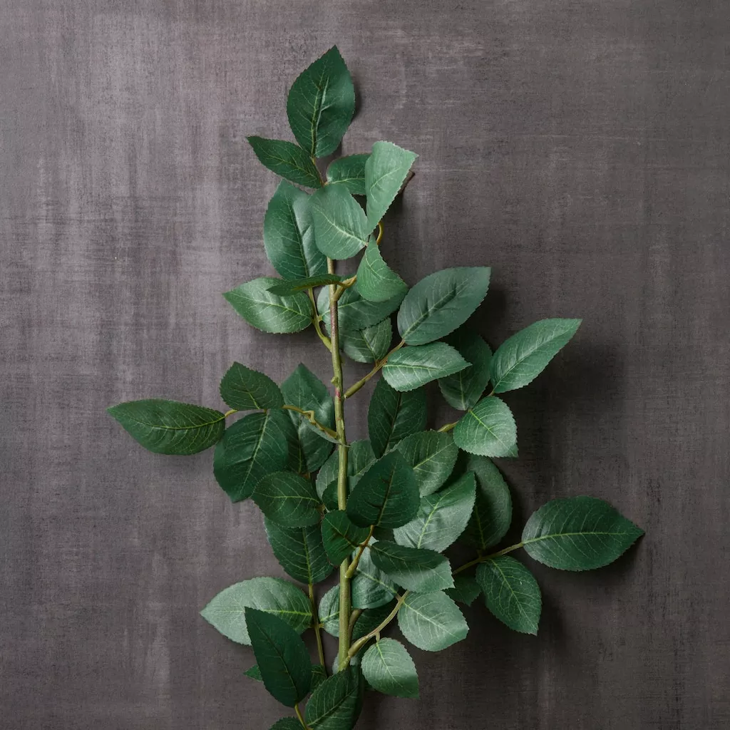 Wholesale ⌛ Rose Leaf Stem by Ashland® 🔔 4 Wholesale ⌛ Rose Leaf Stem by Ashland® 🔔 - Image 2