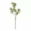 Coupon ✨ Green Berry Stem with Leaves by Ashland® ✔️ -Michaels Store 10626473 21