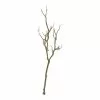 Deals ⌛ Bare Birch Branch by Ashland® 🔥 -Michaels Store 10626481 1