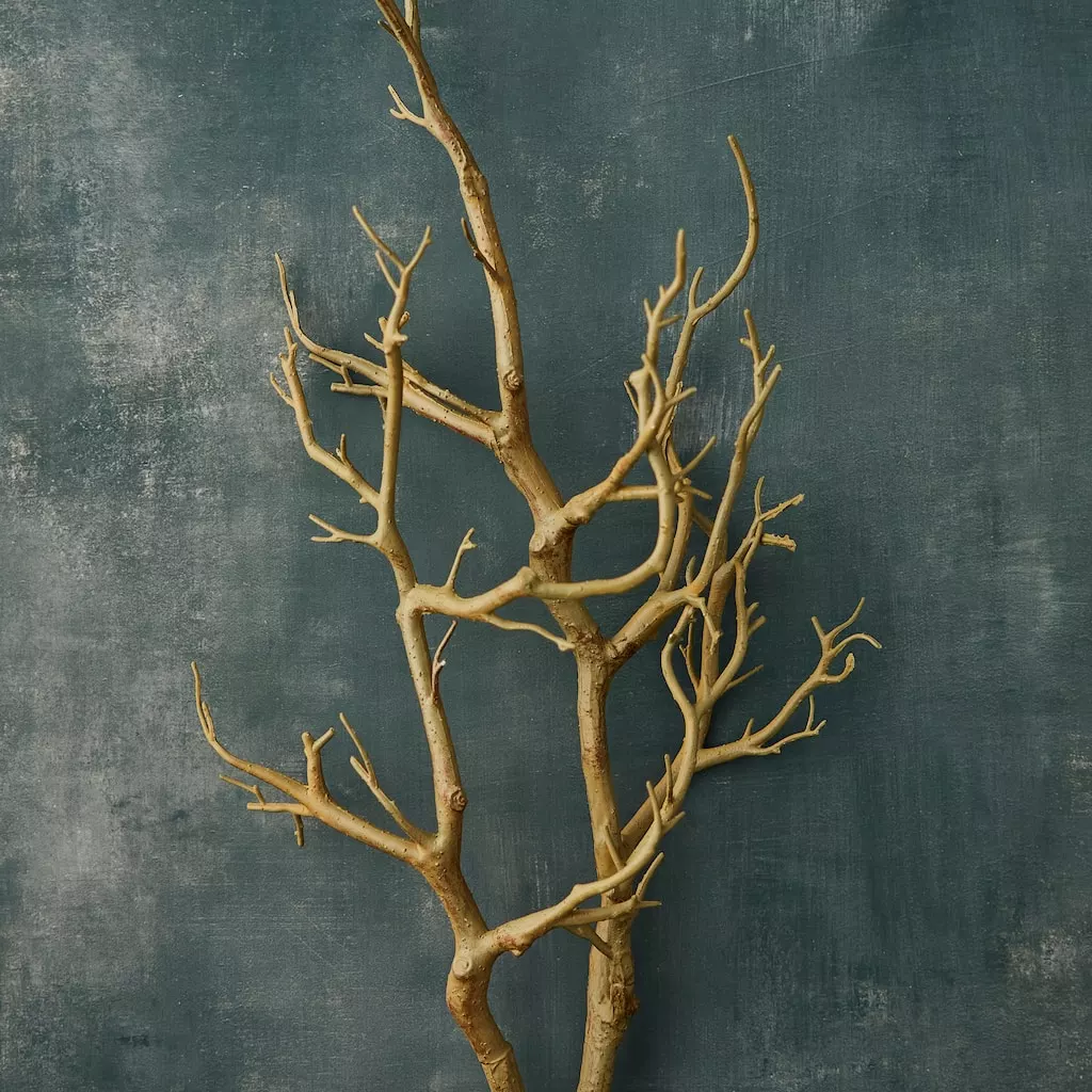 Deals ⌛ Bare Birch Branch by Ashland® 🔥 4 Deals ⌛ Bare Birch Branch by Ashland® 🔥 - Image 2