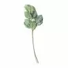 Wholesale 😍 Green Dusty Miller Stem by Ashland® 💯 -Michaels Store 10626483 21