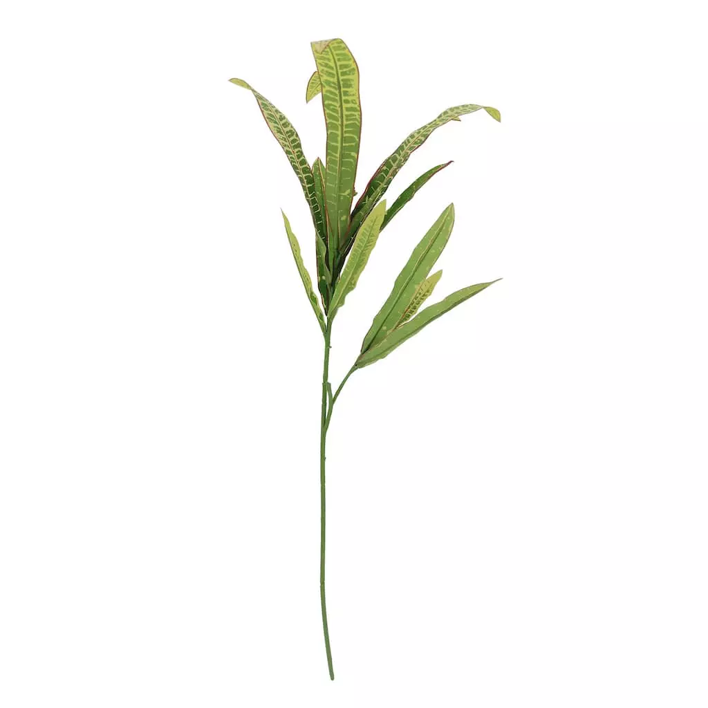 Wholesale ๐ 12 Pack: Green & Yellow Croton Stem by Ashland® ๐งจ 3 Wholesale ๐ 12 Pack: Green & Yellow Croton Stem by Ashland® ๐งจ