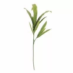 Budget 🧨 Green & Yellow Croton Fall Stem by Ashland® ✔️