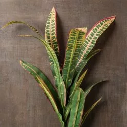 Budget 🧨 Green & Yellow Croton Fall Stem by Ashland® ✔️ -Michaels Store 10626491 25