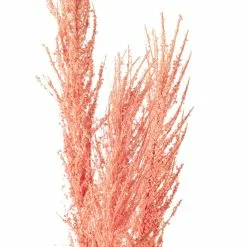 Promo ✨ Peach Pampas Grass Stem by Ashland® 🎁 -Michaels Store 10626520 20