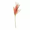Promo ✨ Peach Pampas Grass Stem by Ashland® 🎁 2 Promo ✨ Peach Pampas Grass Stem by Ashland® 🎁 -Michaels Store 10626520 21